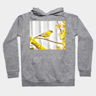 Yellow bird Hoodie